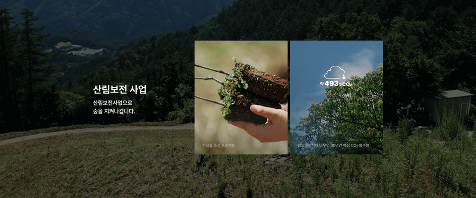 산림보전 사업