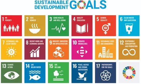 SUSTAINABLE DEVELOPMENT GOALS - 1 NO POVERTY, 2 ZERO HUNGER, 3 GOOD HEALTH AND WELL-BEING, 4 QUALITY EDUCATION, 5 GENDER EQUALITY, 6 CLEAN WATER AND SANITATION, 7 AFFORDABLE AND CLEAN ENERGY, 8 DECENT WORK AND ECONOMIC GROWTH, 9 INDUSTRY INNOVATION AND INFRASTRUCTURE, 10 REDUCED INEQUALITIES, 11 SUSTAINABLE CITIES AND COMMUNITIES, 12 RESPONSIBLE CONSUMPTION AND PRODUCTION, 13 CLIMATE ACTION, 14 LIFE BELOW WATER, 15 LIFE ON LAND, 16 PEACE JUSTICE AND STRONG INSTITUTIONS, 17 PARTNERSHIPS FOR THE GOALS